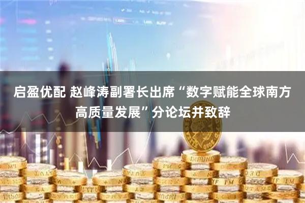 启盈优配 赵峰涛副署长出席“数字赋能全球南方高质量发展”分论坛并致辞