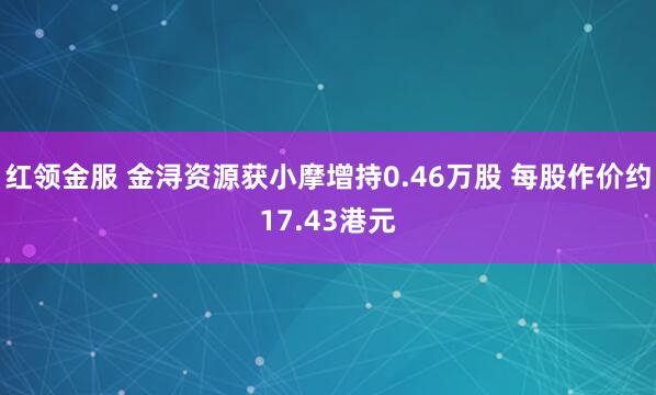 红领金服 金浔资源获小摩增持0.46万股 每股作价约17.43港元