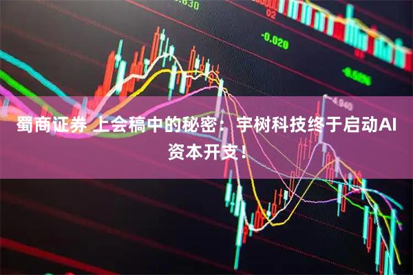 蜀商证券 上会稿中的秘密：宇树科技终于启动AI资本开支！